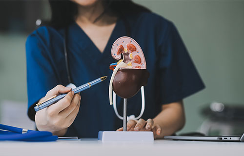 Kidney Function Tests (KFT)