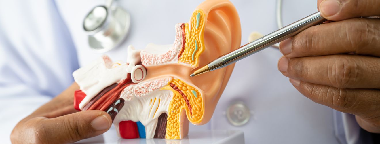 ENT (Ear, Nose & Throat)
