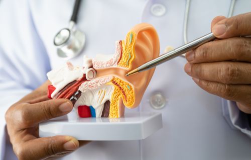 ENT (Ear, Nose & Throat)